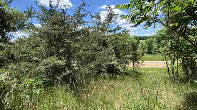 11770 Penlawn Dr, Jerome, MI 49249 - photo 4