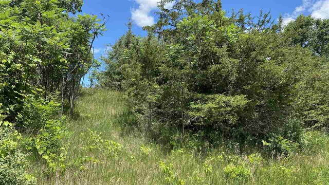 11770 Penlawn Dr, Jerome, MI 49249 - photo 5