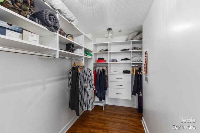 spacious closet featuring dark hardwood / wood-style flooring