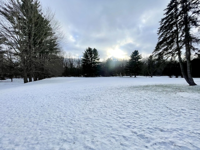 view of yard layered in snow