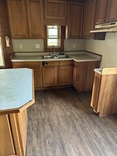 kitchen featuring dark hardwood / wood-style floors and sink