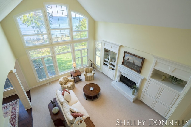 carpeted living room featuring high vaulted ceiling and a healthy amount of sunlight