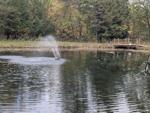 view of water feature featuring a wooded view