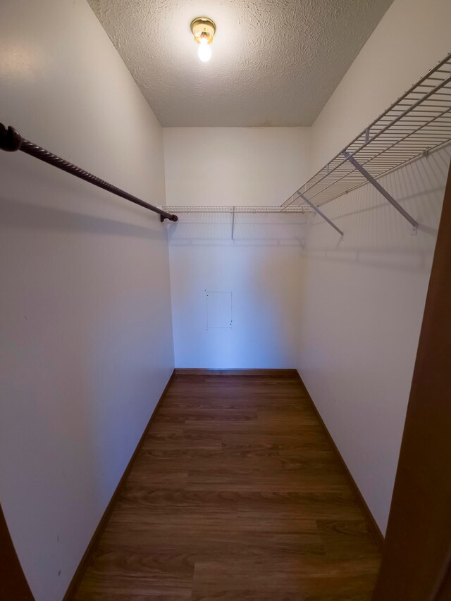 spacious closet featuring dark hardwood / wood-style flooring