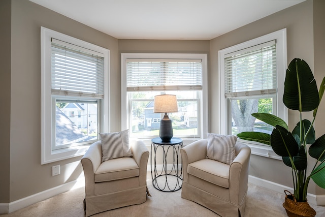 living area with light colored carpet and plenty of natural light