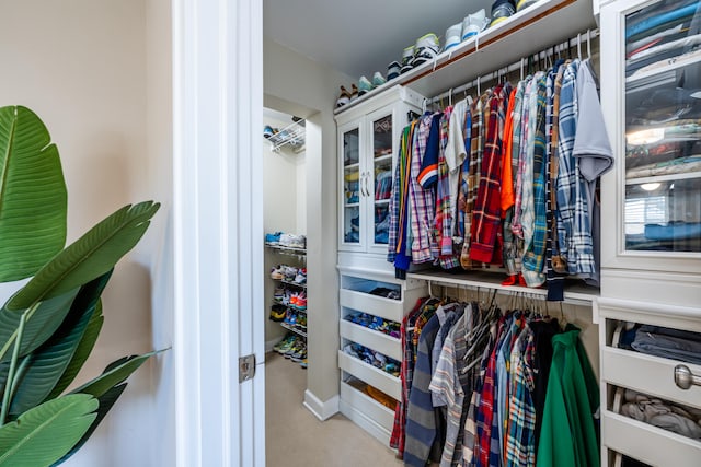 spacious closet with light carpet