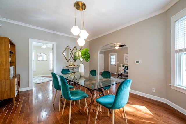 dining space with wood-type flooring, crown molding, and ceiling fan