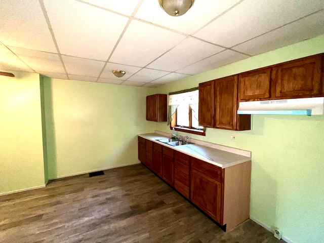 kitchen with a drop ceiling, dark hardwood / wood-style flooring, and sink