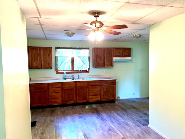 kitchen with ceiling fan, dark hardwood / wood-style floors, sink, and a paneled ceiling