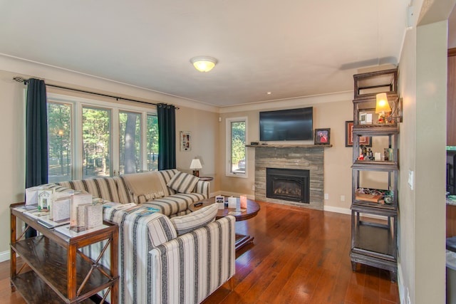 living room with a stone fireplace, ornamental molding, dark wood-type flooring, and a healthy amount of sunlight