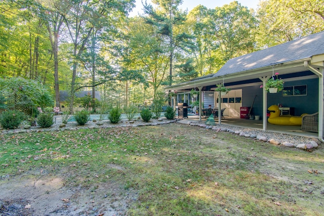 view of yard featuring a patio area