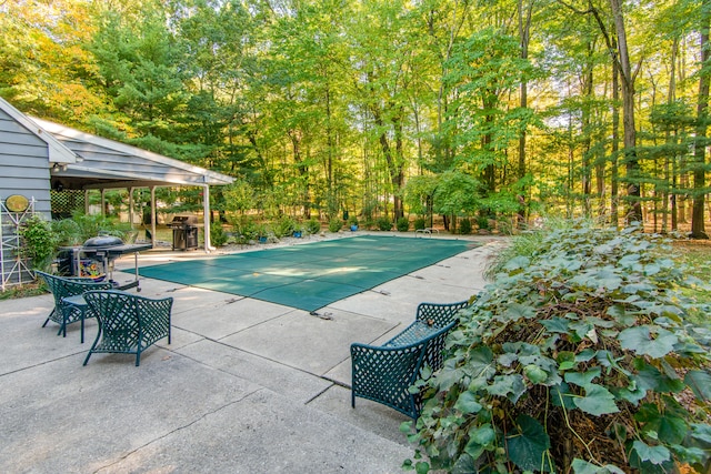 view of swimming pool with a patio area