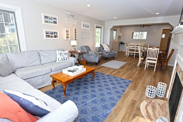 living room featuring hardwood / wood-style flooring