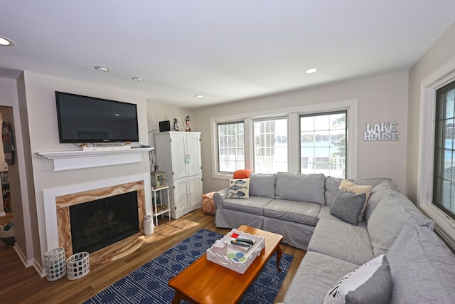 living room featuring a premium fireplace and hardwood / wood-style floors