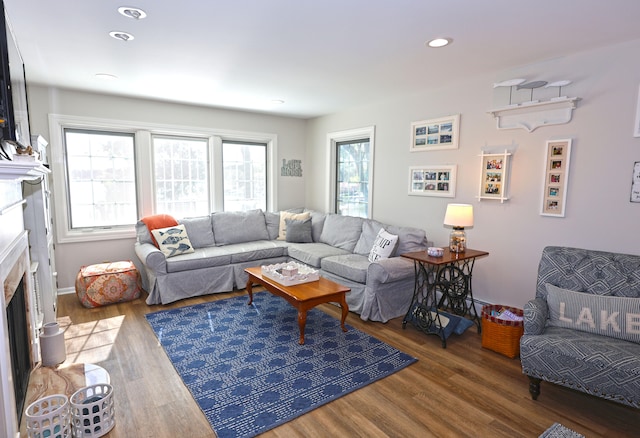 living room with hardwood / wood-style flooring