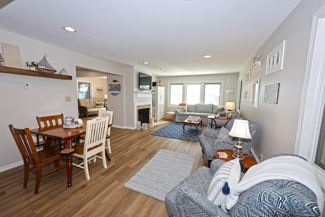 living room with a fireplace and wood-type flooring