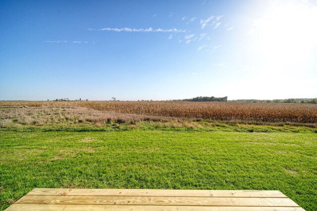 view of yard with a rural view