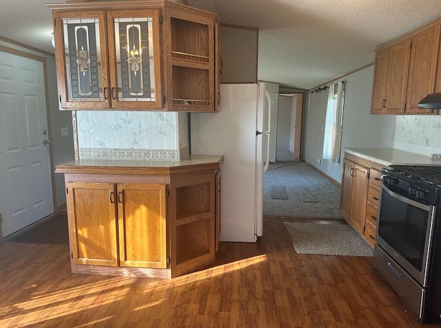 kitchen featuring white refrigerator, a textured ceiling, ventilation hood, dark hardwood / wood-style floors, and stainless steel range oven