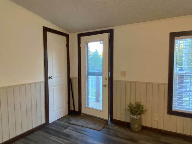 entryway with a textured ceiling, radiator, vaulted ceiling, and dark hardwood / wood-style flooring