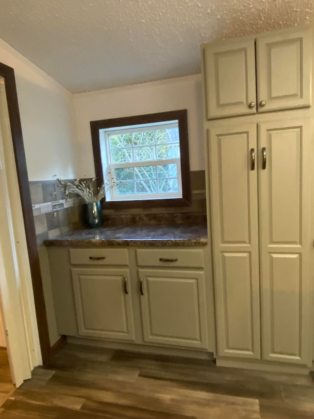 kitchen with dark wood-type flooring and a textured ceiling