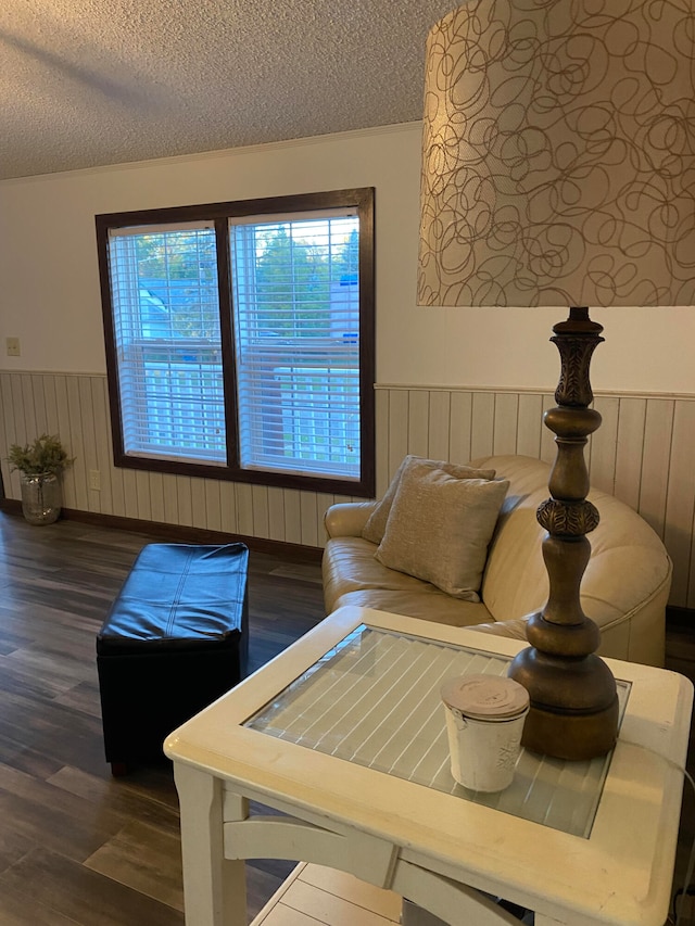 living room with a textured ceiling and dark wood-type flooring