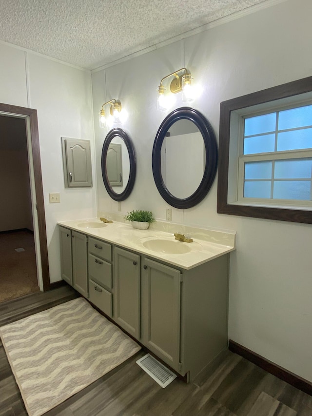 bathroom with vanity, wood-type flooring, and a textured ceiling