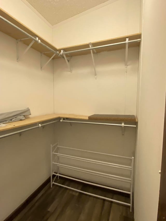 walk in closet featuring dark wood-type flooring