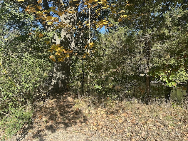 8027 Thornapple River Dr SE, Caledonia, MI 49316 - photo 3