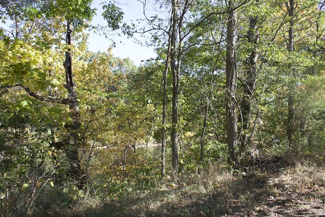 8027 Thornapple River Dr SE, Caledonia, MI 49316 - photo 4