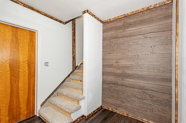 stairway featuring wood-type flooring and wood walls