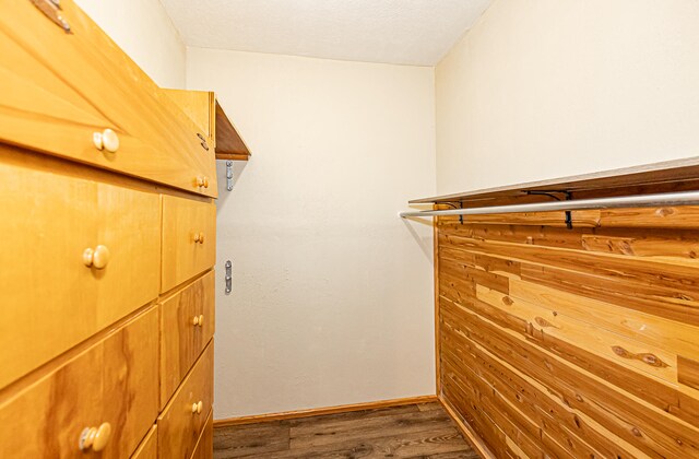 walk in closet featuring hardwood / wood-style floors