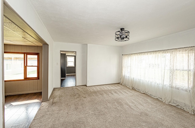 unfurnished room featuring a textured ceiling and light hardwood / wood-style floors