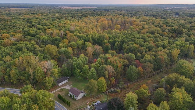 bird's eye view