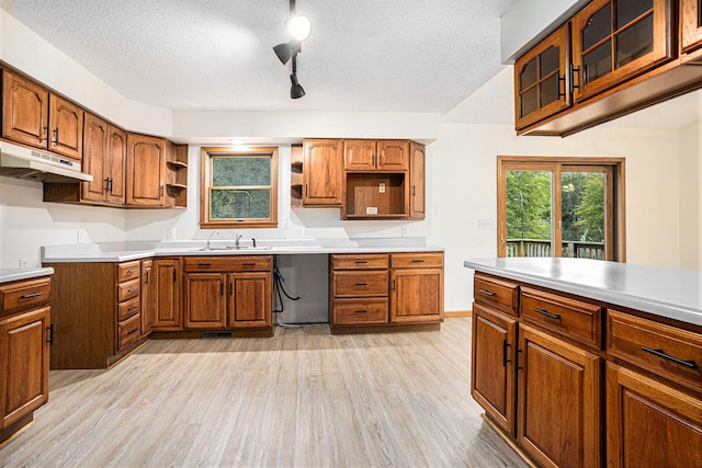 kitchen with sink, track lighting, a textured ceiling, and light hardwood / wood-style flooring