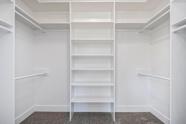 spacious closet with carpet