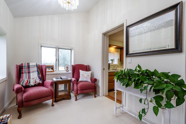 sitting room with a textured ceiling, carpet, and sink