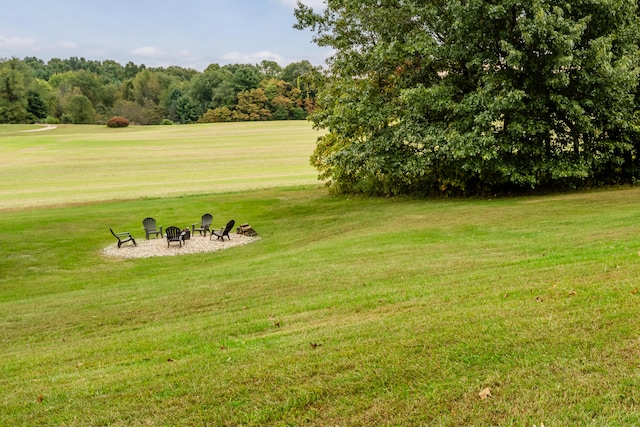 view of home's community with a yard