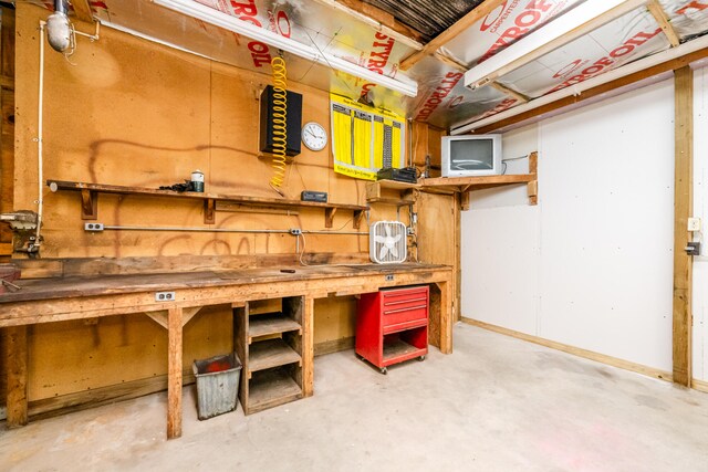 basement with a workshop area