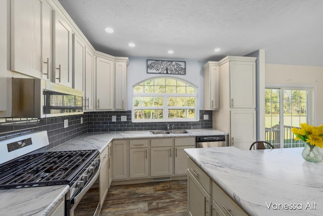 kitchen featuring dark hardwood / wood-style flooring, a healthy amount of sunlight, appliances with stainless steel finishes, and tasteful backsplash