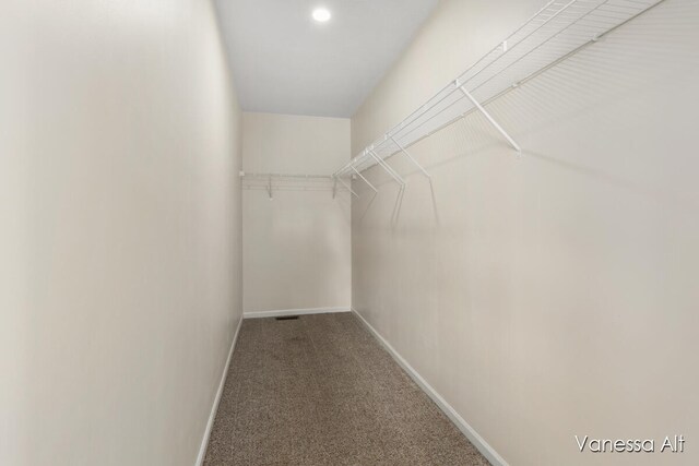 spacious closet featuring carpet floors