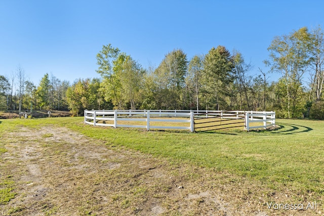 view of yard featuring a rural view