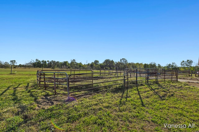 view of yard featuring a rural view