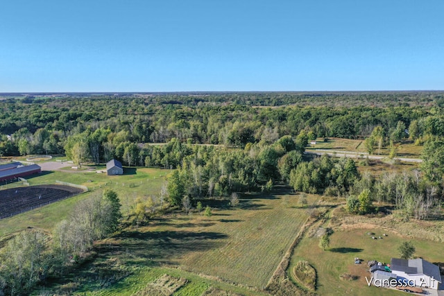 drone / aerial view featuring a rural view