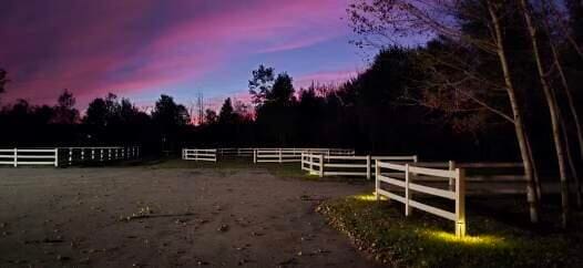 view of yard at dusk