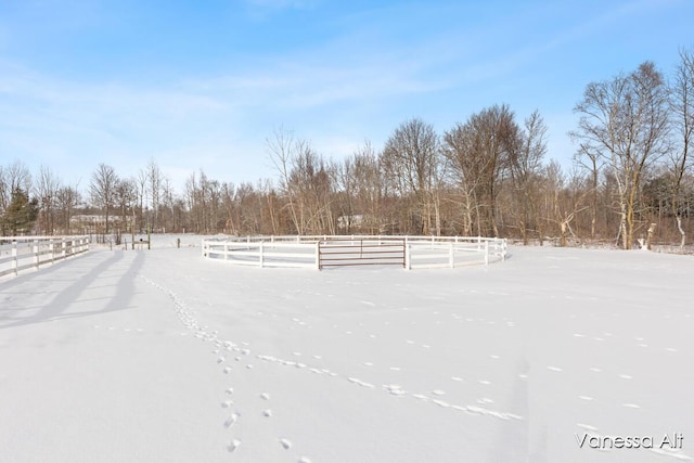 view of yard with a rural view