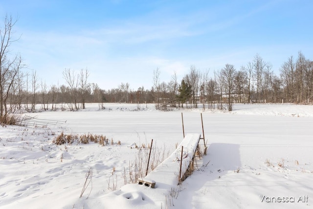 view of yard covered in snow