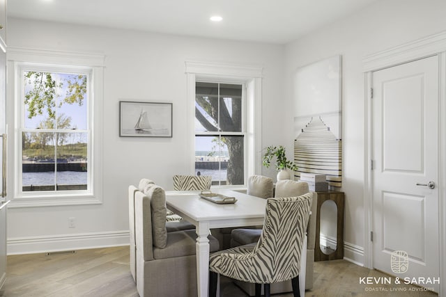 dining space featuring light hardwood / wood-style flooring and a wealth of natural light