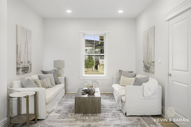 living room with wood-type flooring