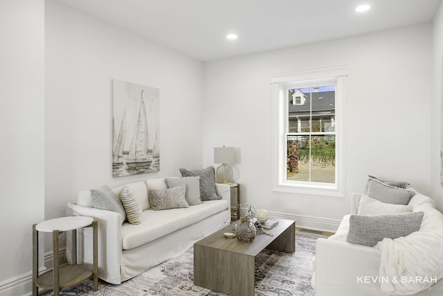 living room featuring hardwood / wood-style floors