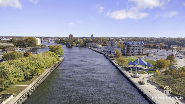 bird's eye view with a water view